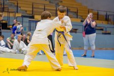 22.06.2024 Wachau JUDO Kids Cup